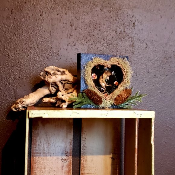 Hello! Welcome to my weird closet! - Picture 8 of 16